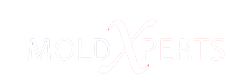 https://moldxpertsnj.com/wp-content/uploads/2023/12/logo-white.png